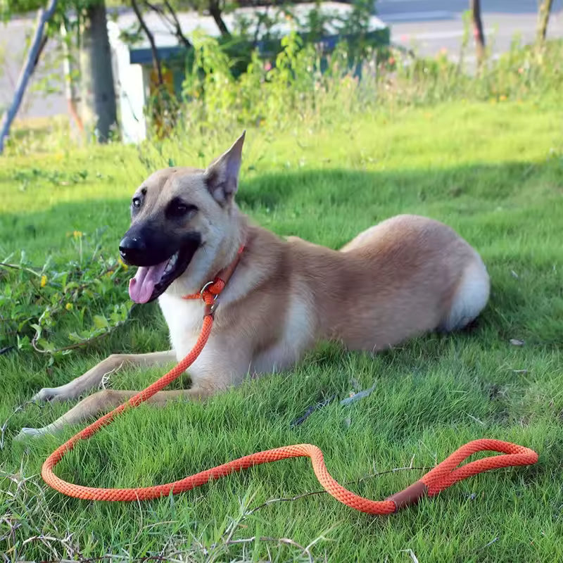 Adjustable Lead Leash