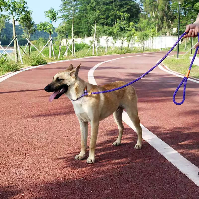 Adjustable Lead Leash