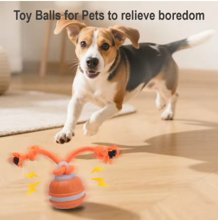 Rolling Dog Ball
