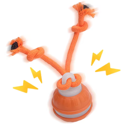 Rolling Dog Ball