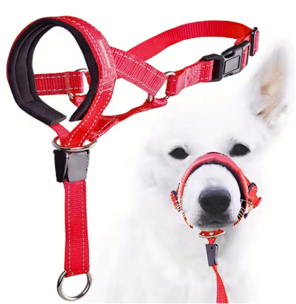 Training Collar