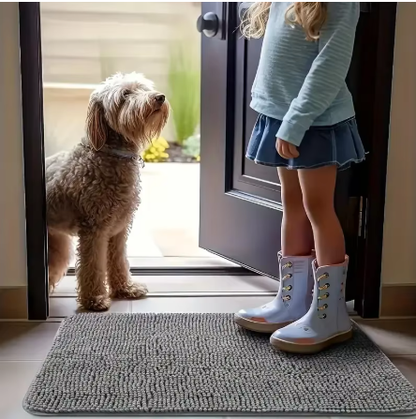 Moisture Absorbent Dog Door Mat