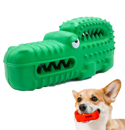 Croc Dental Chew