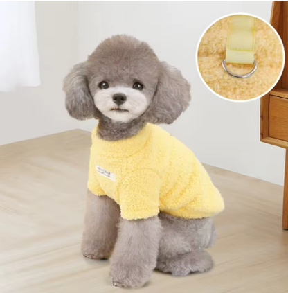 Plush Winter for Dogs