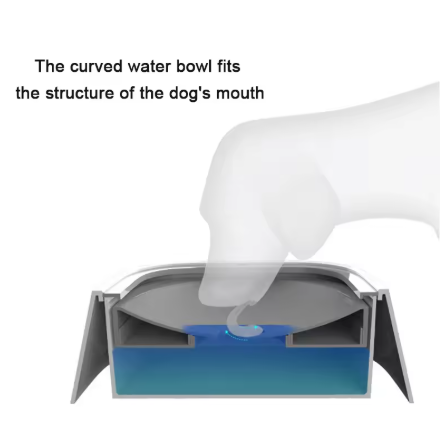 Pet Bowl