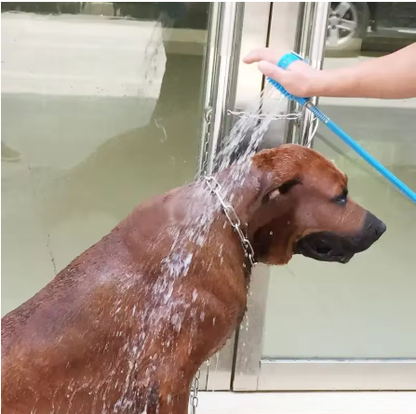 Pet Shower Sponge