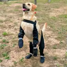 Anti-Slip Dog Shoes