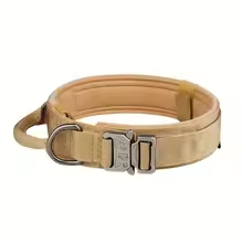 Dog Collar