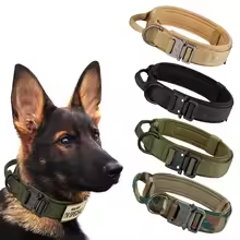 Dog Collar